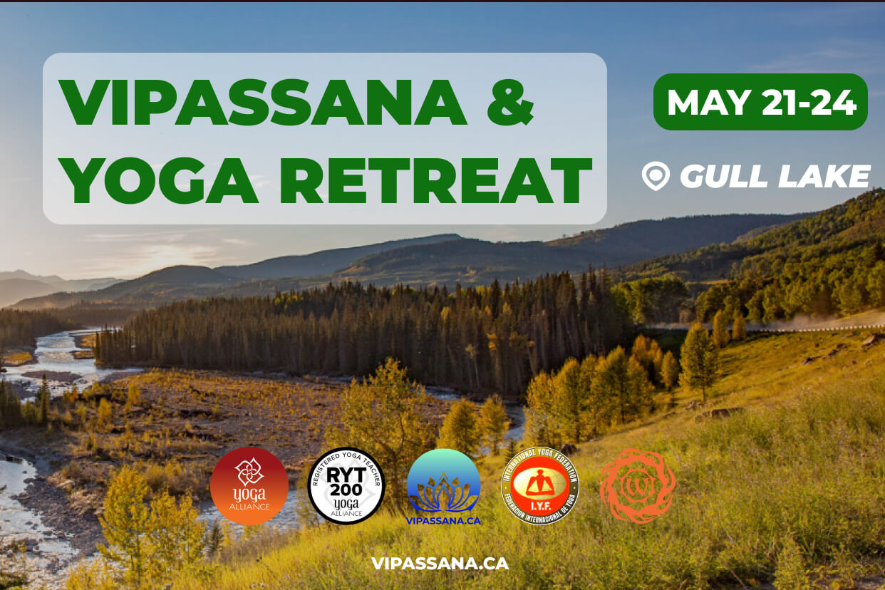 Vipassana retreat may 2026 Vipassana retreat may 2026