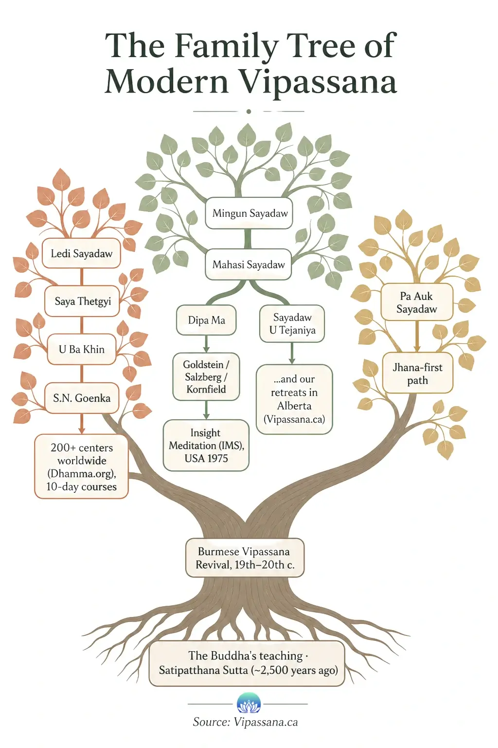 The Family Tree of Modern Vipassana Vipassana traditions map types of vipassana burmese lineages