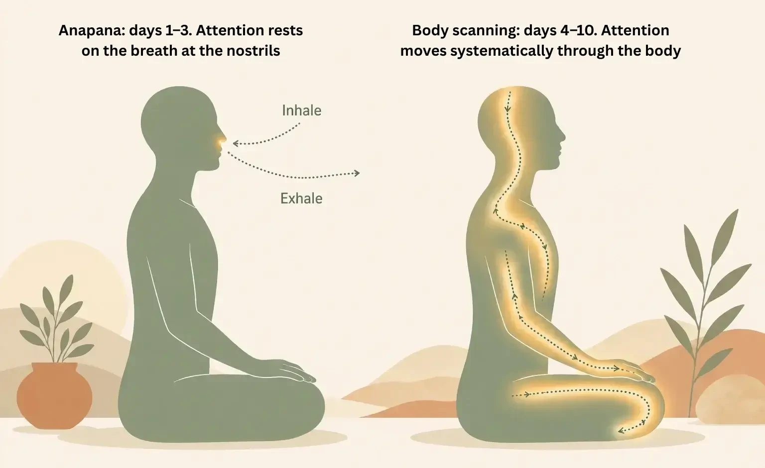 Anapana meditation and body scanning technique in Goenka Vipassana Anapana meditation and body scanning technique in Goenka Vipassana